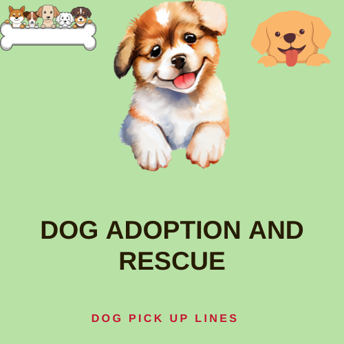 Dog Adoption and Rescue