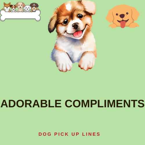 Adorable Compliments