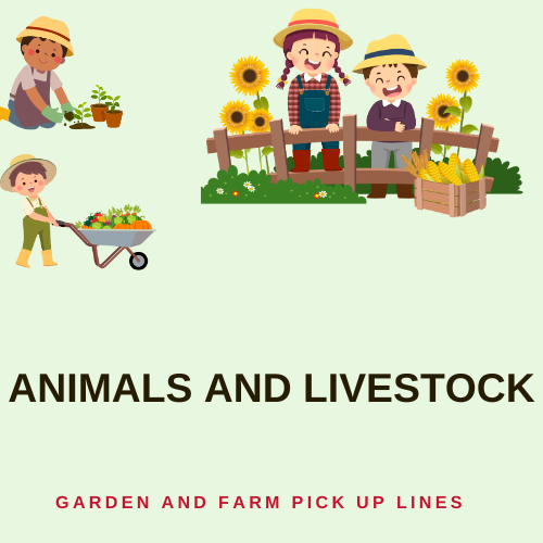 Animals and Livestock