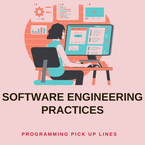 Software Engineering Practices