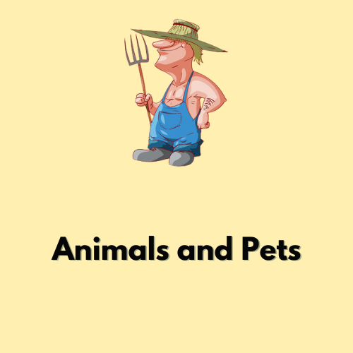 Animals and Pets