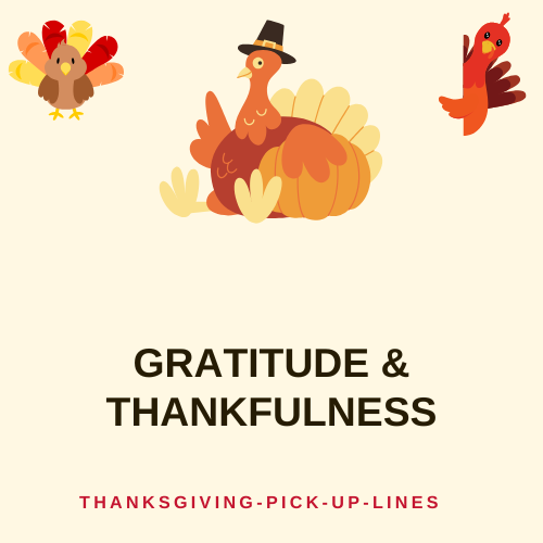 Gratitude & Thankfulness