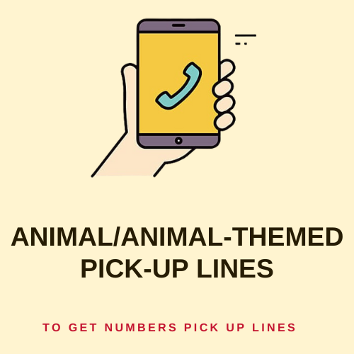 Animal/Animal-Themed Pick-Up Lines