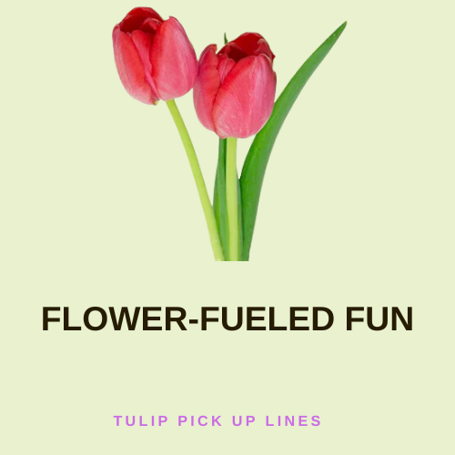 Flower-Fueled Fun