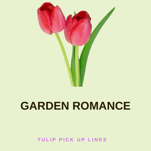 Garden Romance