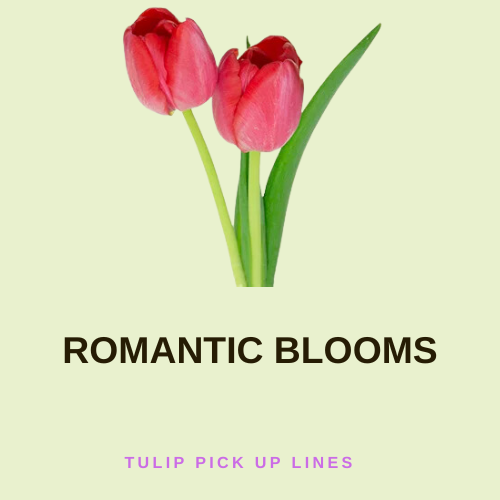 Romantic Blooms